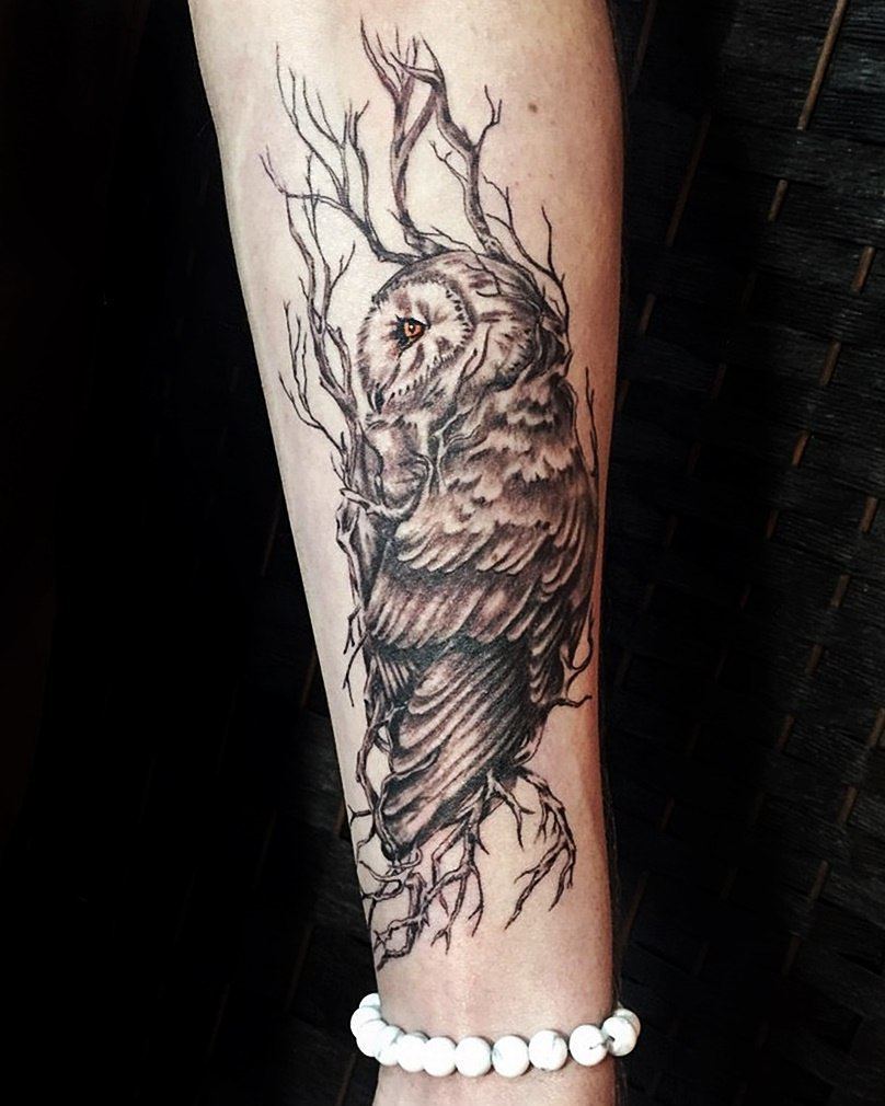 巴小姐小臂猫头鹰森林系纹身图案